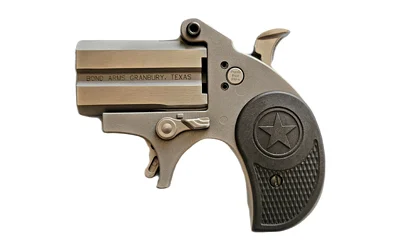 BOND STUBBY 22LR 2.2" STS NO TG BLK